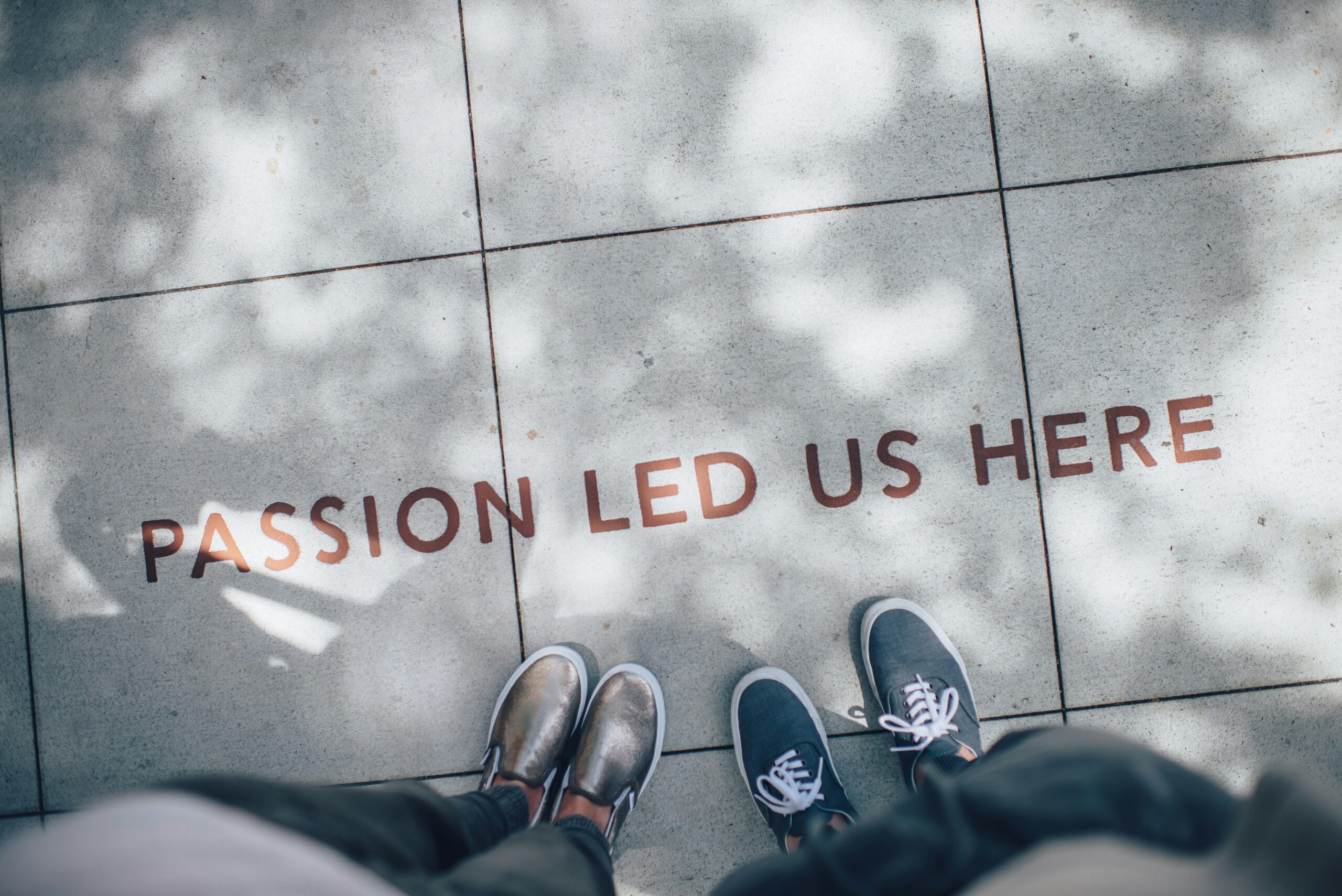Our Vision